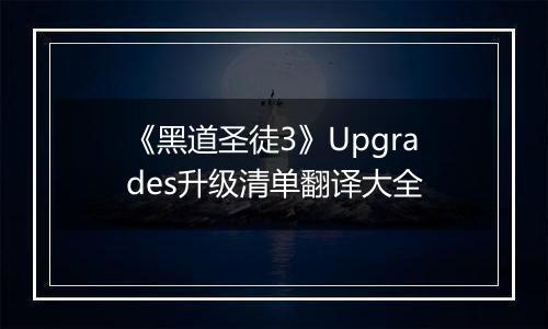 《黑道圣徒3》Upgrades升级清单翻译大全