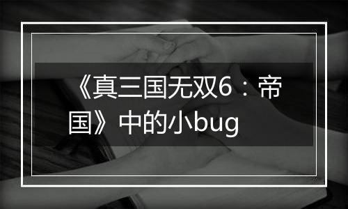 《真三国无双6：帝国》中的小bug