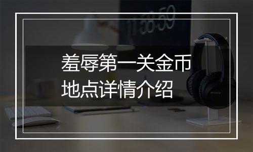 羞辱第一关金币地点详情介绍