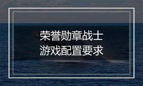 荣誉勋章战士游戏配置要求
