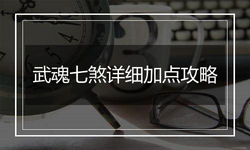 武魂七煞详细加点攻略