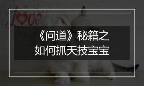 《问道》秘籍之如何抓天技宝宝