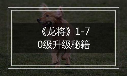 《龙将》1-70级升级秘籍