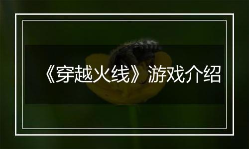 《穿越火线》游戏介绍