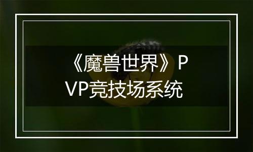 《魔兽世界》PVP竞技场系统