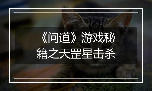 《问道》游戏秘籍之天罡星击杀