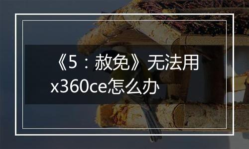 《5：赦免》无法用x360ce怎么办