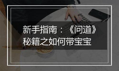 新手指南：《问道》秘籍之如何带宝宝