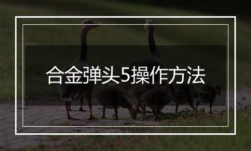 合金弹头5操作方法