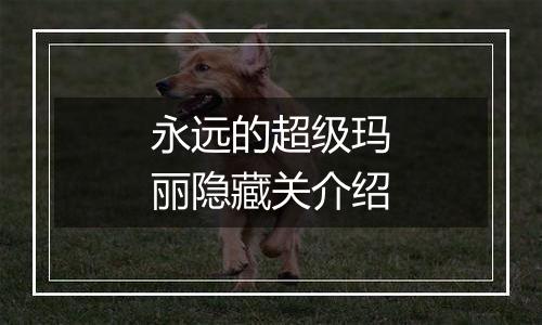 永远的超级玛丽隐藏关介绍
