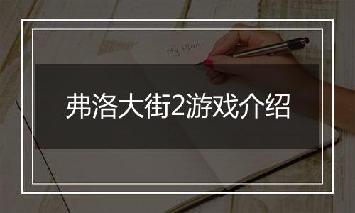 弗洛大街2游戏介绍
