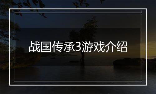 战国传承3游戏介绍