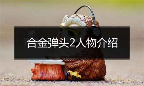 合金弹头2人物介绍