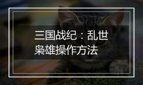 三国战纪：乱世枭雄操作方法