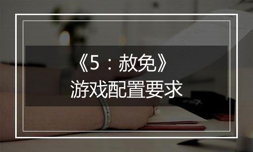 《5：赦免》游戏配置要求