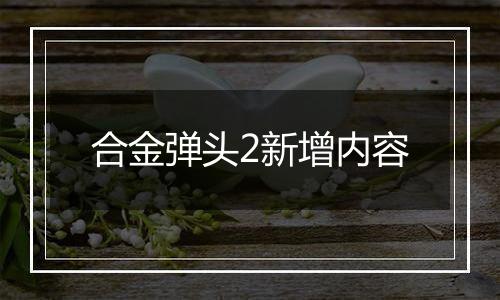 合金弹头2新增内容