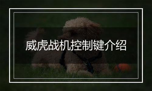威虎战机控制键介绍