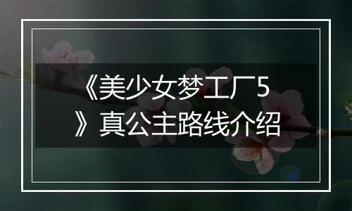 《美少女梦工厂5》真公主路线介绍