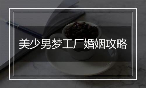 美少男梦工厂婚姻攻略