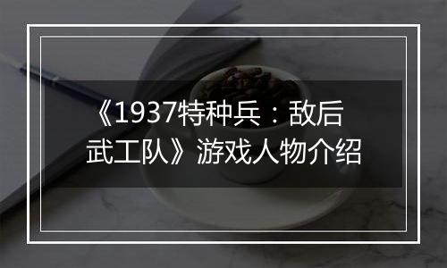 《1937特种兵：敌后武工队》游戏人物介绍
