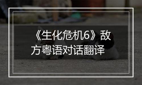《生化危机6》敌方粤语对话翻译