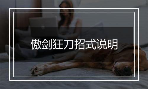 傲剑狂刀招式说明