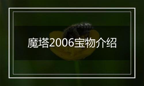 魔塔2006宝物介绍