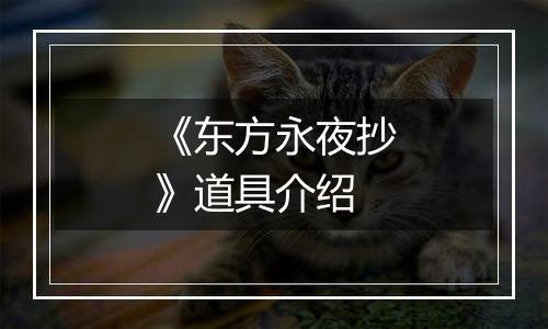 《东方永夜抄》道具介绍