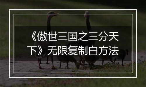《傲世三国之三分天下》无限复制白方法