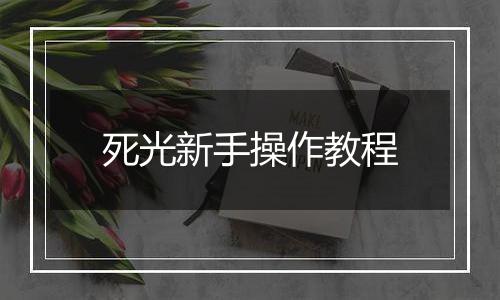 死光新手操作教程