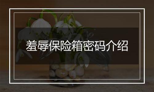 羞辱保险箱密码介绍