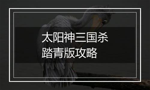 太阳神三国杀踏青版攻略