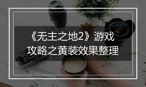 《无主之地2》游戏攻略之黄装效果整理