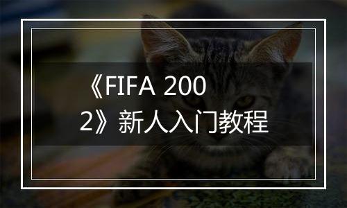 《FIFA 2002》新人入门教程
