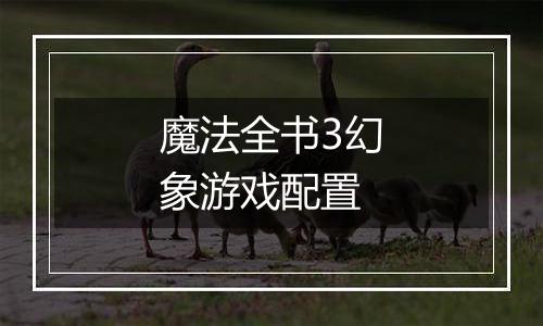 魔法全书3幻象游戏配置