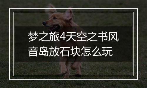 梦之旅4天空之书风音岛放石块怎么玩