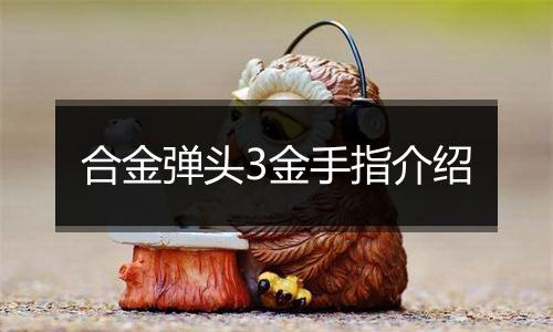 合金弹头3金手指介绍