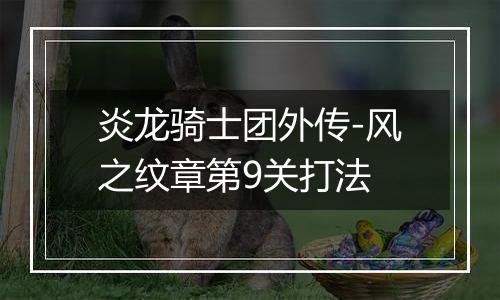 炎龙骑士团外传-风之纹章第9关打法