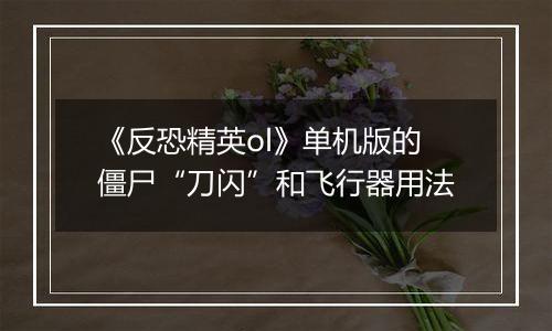 《反恐精英ol》单机版的僵尸“刀闪”和飞行器用法