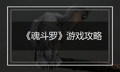 《魂斗罗》游戏攻略