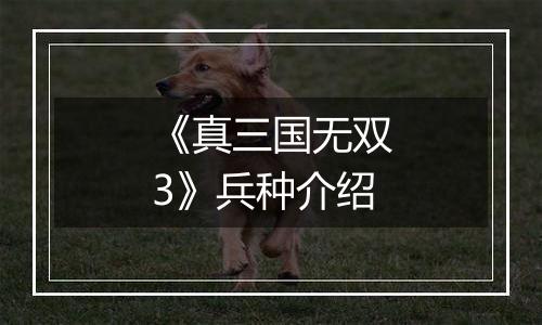 《真三国无双3》兵种介绍