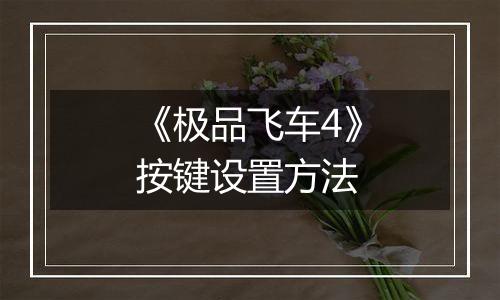 《极品飞车4》按键设置方法