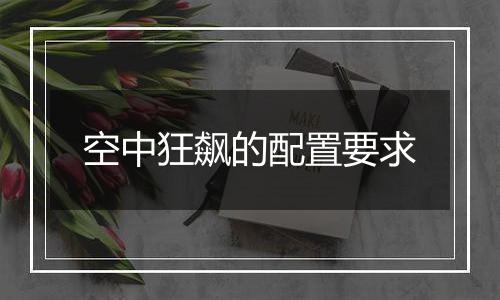 空中狂飙的配置要求