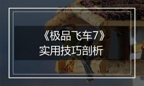 《极品飞车7》实用技巧剖析