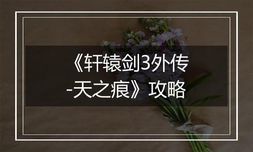 《轩辕剑3外传-天之痕》攻略