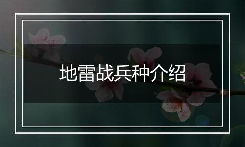 地雷战兵种介绍
