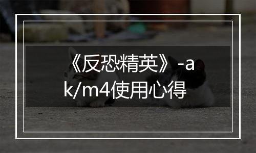 《反恐精英》-ak/m4使用心得