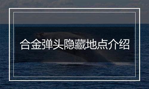 合金弹头隐藏地点介绍