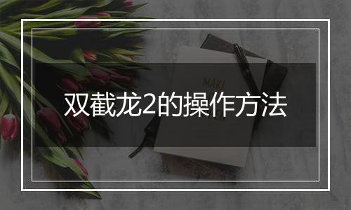 双截龙2的操作方法