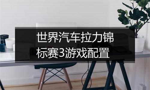 世界汽车拉力锦标赛3游戏配置